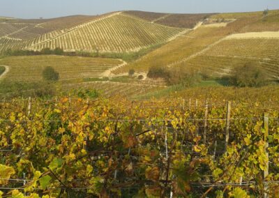 TOUR DE PIAMONTE 2026