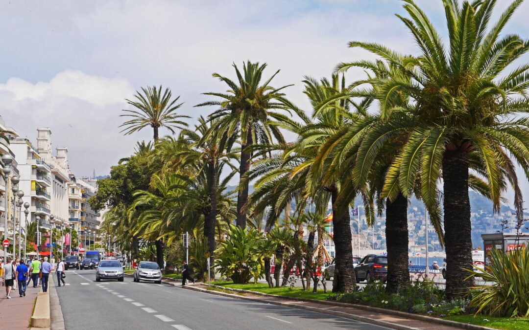 TOUR DE LA LIGURIA Y LA COSTA AZUL 2026